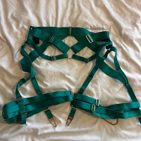Honey Birdette kukuro jade full set - bra 34DD panties and suspenders M - Picture 6 of 8